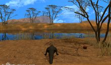 每棵树都是自己的图腾