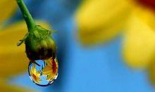 这滴水，让世界变得如此亮丽