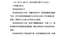 在阳光灿烂的日子作文