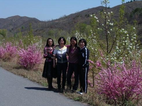 鲜花，香味