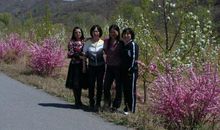 善德如花，芬芳长存