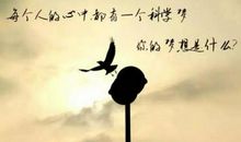 走错的也是路作文600字