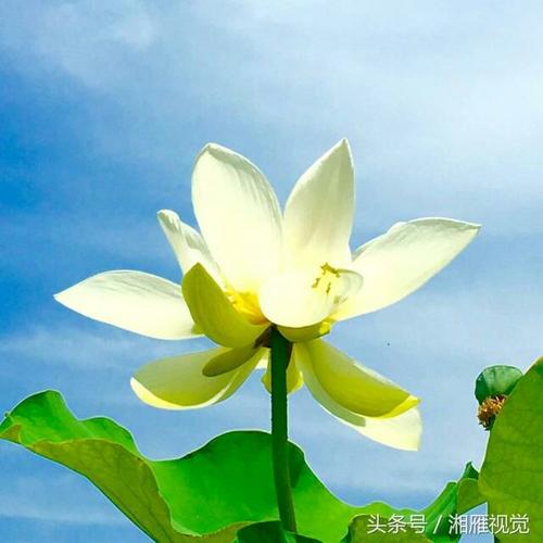 一种不同的真实感受