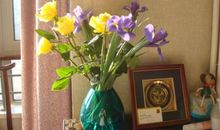 触动我心灵的鸢尾花