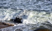 生活中的一朵浪花作文