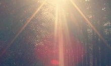 风雨后，那抹绚丽的阳光