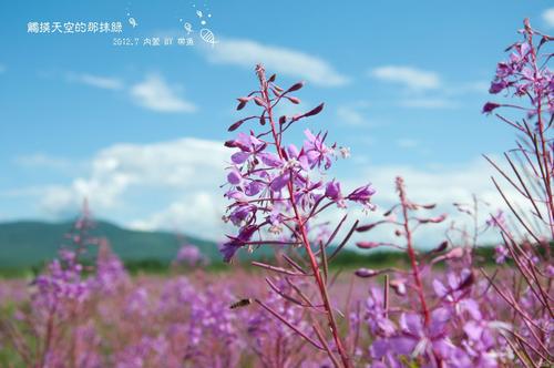 触摸天空