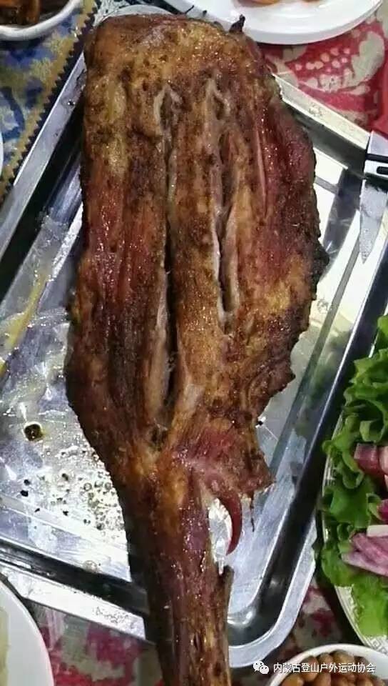 鲁迅说无尽的远方作文