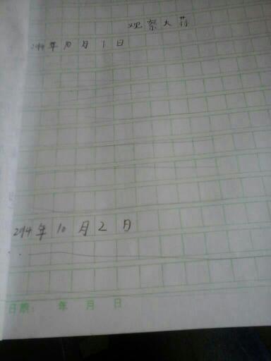 观察日记三个400字