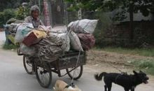 读《捡垃圾的老婆婆》有感