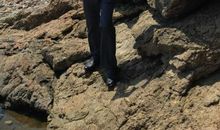 走进父亲的心灵深处