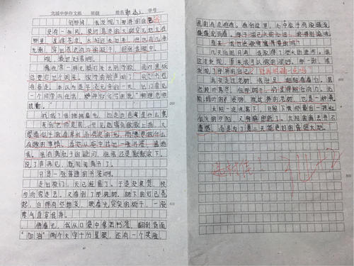 每朵花都有盛开的原因