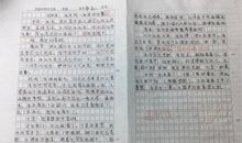 每朵花都有盛开的理由作文