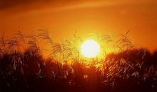 暮色中的那根烟