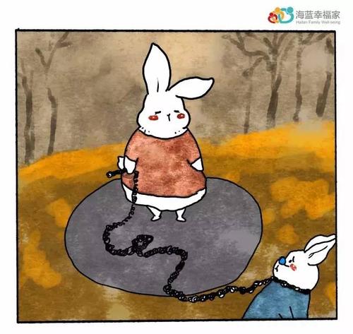 理想与命运之间的矛盾
