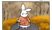 理想和命运的矛盾