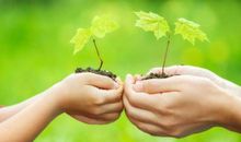 对生命最完美的诠释