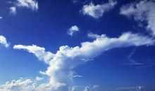 飞在自己的蓝天里