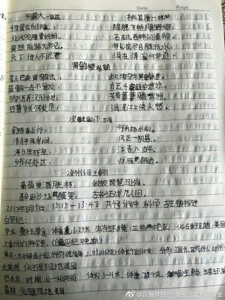 梦是成功的窗口