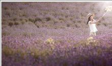 那边有爱在弥漫