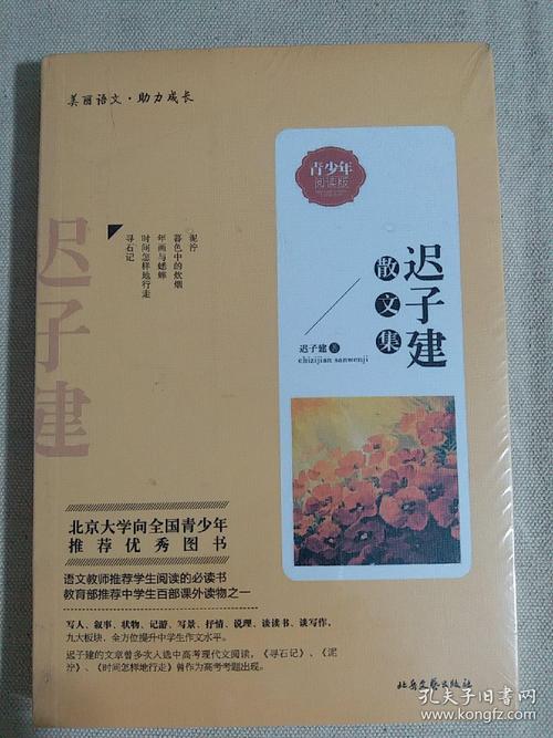阅读后“儿童尺寸”阅读