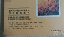 《迟子建散文集》读后感