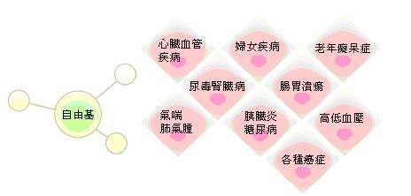 自由