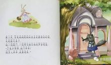 小兔——“梦妮”