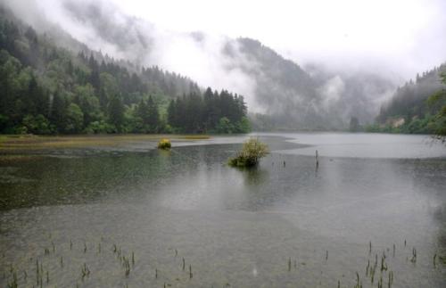 老年山雨