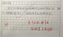 在那阳光灿烂的日子作文