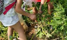 我与艺术的一次亲密接触