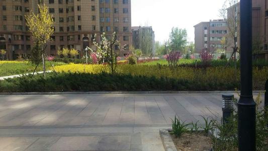 秋天旅游博伊亚公园