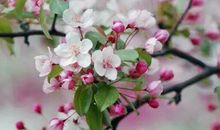 心灵也是一种美