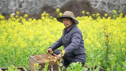 收获甜蜜