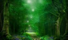 邂逅那一抹绿色