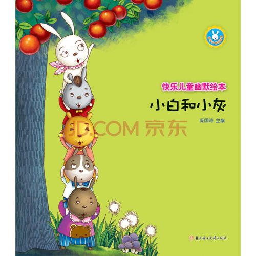 我和小波的故事