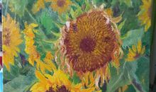 《金色记忆》观后感