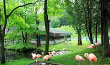 美丽的旭山公园