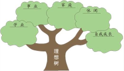 充满信心地支持你的梦想
