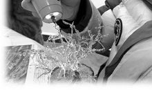 “3D打印”引领未来