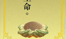 生命只能用来热爱