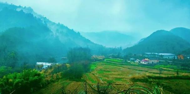 我不能忘记风景。