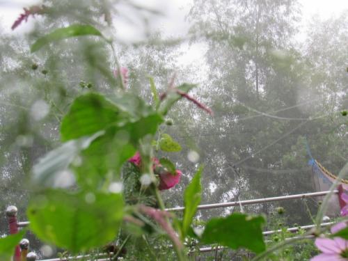 这是一个空白，你的眼睛。
