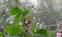 是世事空白了你的眸