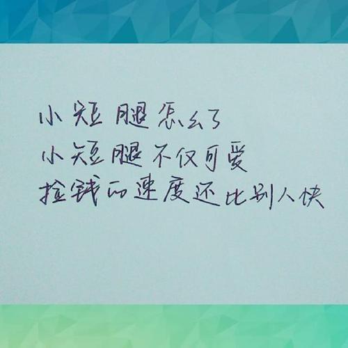 追求我的文学的梦想