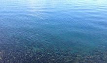 一抹嫣红沁人芳香