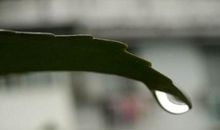 又是一年秋雨淅沥时