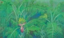 我爱家乡的香蕉园