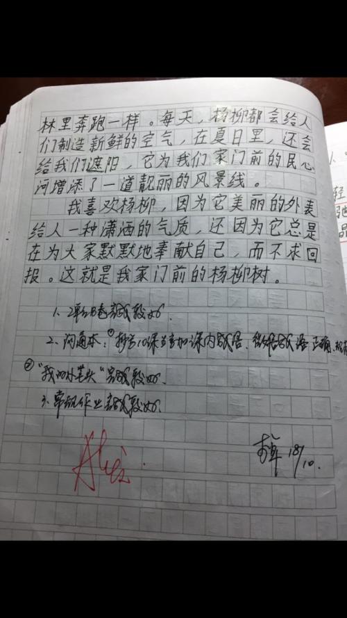 我最喜欢的中国经典作文