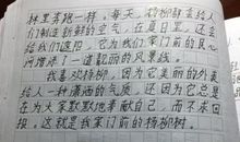 我最喜爱的中华经典作文